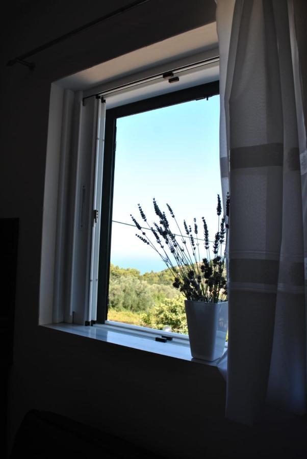 Hotel Monika Lefkada à Tsoukaládhes Extérieur photo